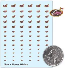 House Hiritsu House Hiritsu