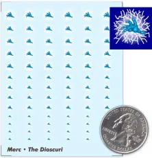 The Dioscuri Decals The Dioscuri Decals
