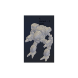 Mad Cat (Timber Wolf) - Variante A Mech