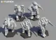 Wolfs Dragoons Assault Star