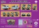 CEF Army Box