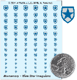 Blue Star Irregulars Decals