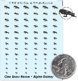 Clan Snow Ravens - Alpha Galaxy Decals