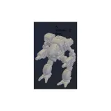 Mad Cat (Timber Wolf) - Variante A Mech