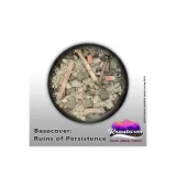 Basecover - Ruins of Persistence