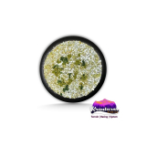 Basecover - Pride of the Riddermark