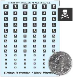 Circinus Federation - Black Warriors Decals