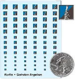 Galedon Regulars Decals