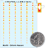 Oriente Hussars Decals