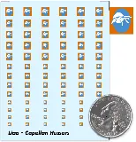 Capellan Hussars Decal